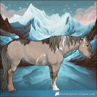 Horse Color:White Spotted Liver Red Dun Mushroom Sabino Rabicano