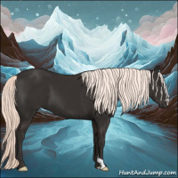 Horse Color:Liver Chestnut Mushroom 