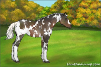 Horse Color:White Spotted Liver Chestnut Mushroom 