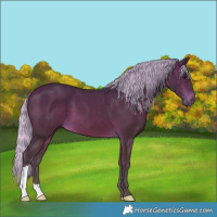 Horse Color:Silver Brown 