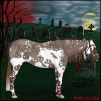 Horse Color:White Spotted Liver Red Roan Splash