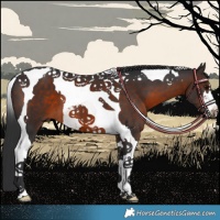 Horse Color:Brown Tobiano 