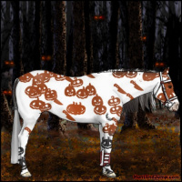 Horse Color:White Spotted Bay Splash
