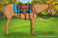 Horse Color:Palomino 