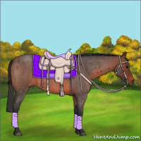 Horse Color:Brown Roan 