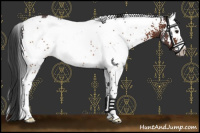 Horse Color:White Spotted Brown Rabicano 