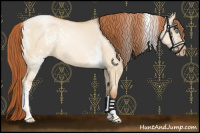 Horse Color:White Spotted Buckskin Pearl Dun Tobiano Rabicano