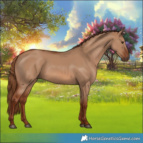 Horse Color:Red Dun 
