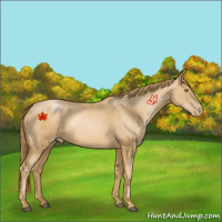 Horse Color:Chestnut Pearl 