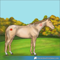 Horse Color:Chestnut Pearl 