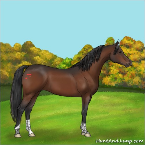 Horse Color:Brown Tobiano 