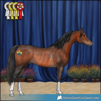 Horse Color:Brown Rabicano 