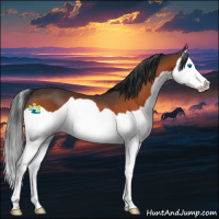 Horse Color:Brown Splash 