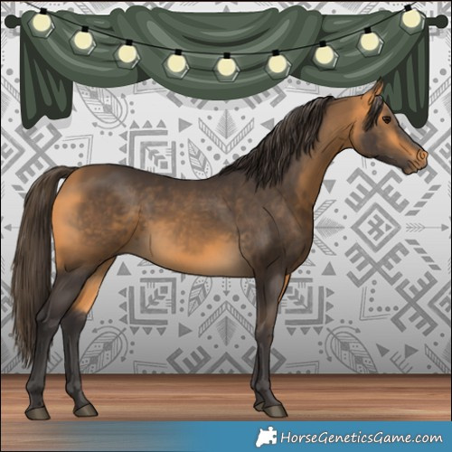 Horse Color:Buckskin 