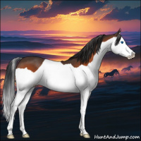 Horse Color:Brown Splash 