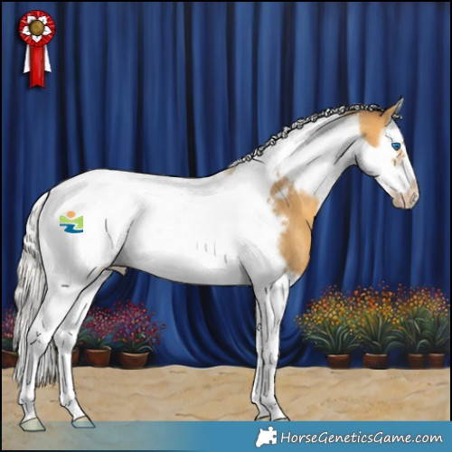 Horse Color:Silver Amber Cream Champagne Splash Tobiano Frame Rabicano 