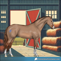 Horse Color:Red Dun 