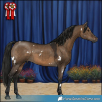 Horse Color:Gray White Spotted Brown Dun Rabicano 