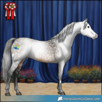 Horse Color:Gray White Spotted Brown Dun Rabicano 