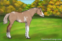 Horse Color:Silver Bay Dun Sabino Tobiano Frame Rabicano 