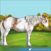 Horse Color:White Spotted Silver Brown 