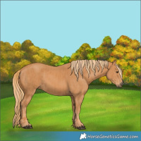 Horse Color:Chestnut  and Chestnut 