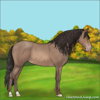 Horse Color:Sable Champagne Roan