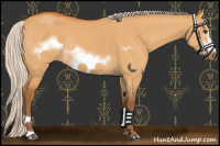 Horse Color:Silver Buckskin Dun Sabino Frame Rabicano