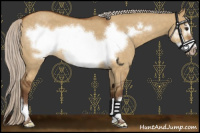 Horse Color:Silver Buckskin Roan Dun Frame 