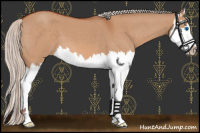 Horse Color:Silver Brown Roan Dun Splash 