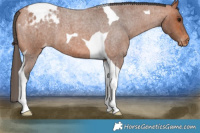 Horse Color:Bay Roan Tobiano Blanket 