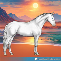 Horse Color:White Spotted Silver Grullo Splash Appaloosa Rabicano 