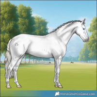 Horse Color:Gray White Spotted Chestnut Splash Tobiano Snowflake Varnish 