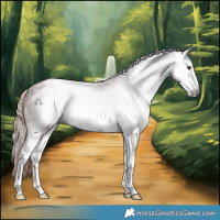 Horse Color:Gray White Spotted Chestnut Varnish Rabicano 