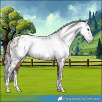 Horse Color:Gray White Spotted Bay Appaloosa Rabicano 
