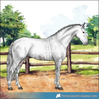Horse Color:Gray White Spotted Brown Blanket Rabicano  and Gray Brown Tobiano Blanket 