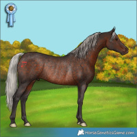 Horse Color:Silver Brown Rabicano 