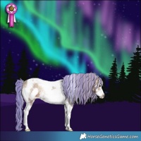 Horse Color:Painted White Spotted Silver Blue Onyx Ice Tobiano Frame Rabicano 