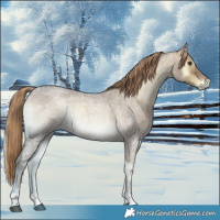 Horse Color:Red Onyx Ice Roan 