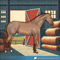Horse Color:Red Dun 