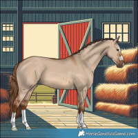 Horse Color:Red Dun 