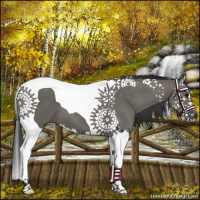 Horse Color:Grullo Splash Tobiano
