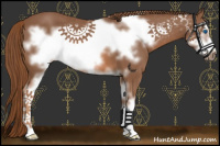 Horse Color:Chestnut Sabino Frame