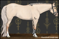 Horse Color:Silver Sable Champagne Roan Dun 