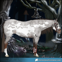 Horse Color:Liver Red Roan Frame