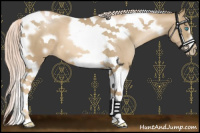 Horse Color:Chocolate Palomino Pearl Tobiano Frame 