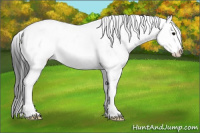 Horse Color:Grullo Sabino 