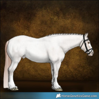Horse Color:Classic Champagne Roan Dun Varnish Rabicano 