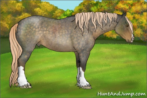 Horse Color:Chocolate Palomino Roan 