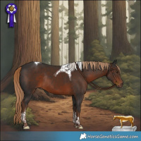 Horse Color:Liver Chestnut Tobiano Rabicano 